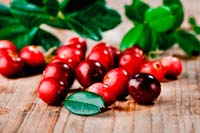 Еда для ума