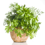 Витамины на тарелке